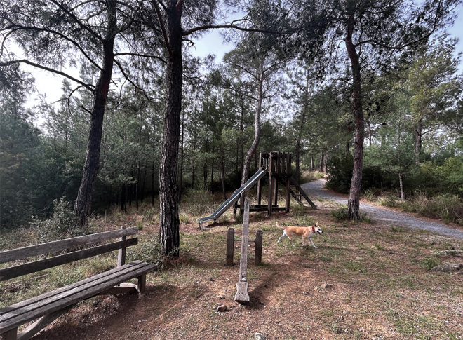 Το περιαστικό δάσος της Θεσσαλονίκης δεν αξιοποιείται και οι υποδομές αναψυχής κινδυνεύουν