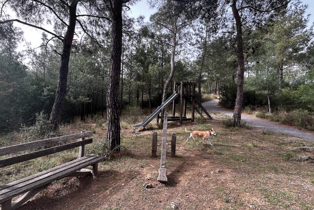 Κατασκευές για αναψυχή στο δάσος του Σέιχ Σου, οι οποίες είναι παραμελημένες και σταδιακά καταστρέφονται.