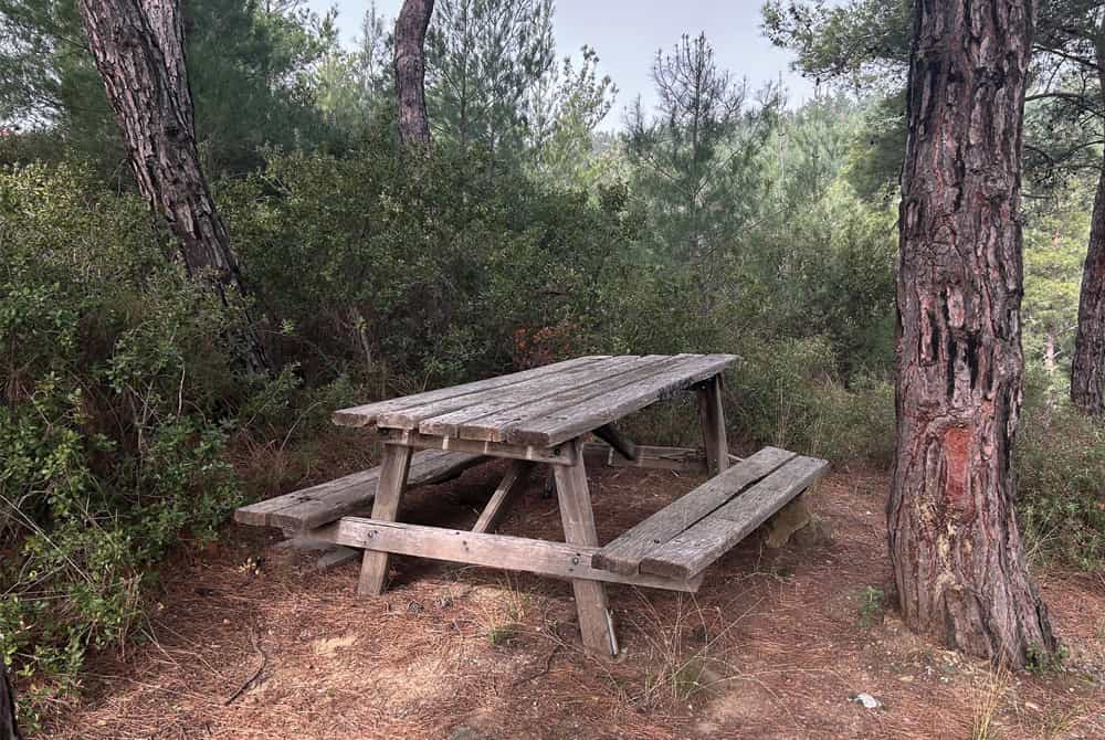 Κατασκευές για αναψυχή στο δάσος του Σέιχ Σου, οι οποίες είναι παραμελημένες και σταδιακά καταστρέφονται.