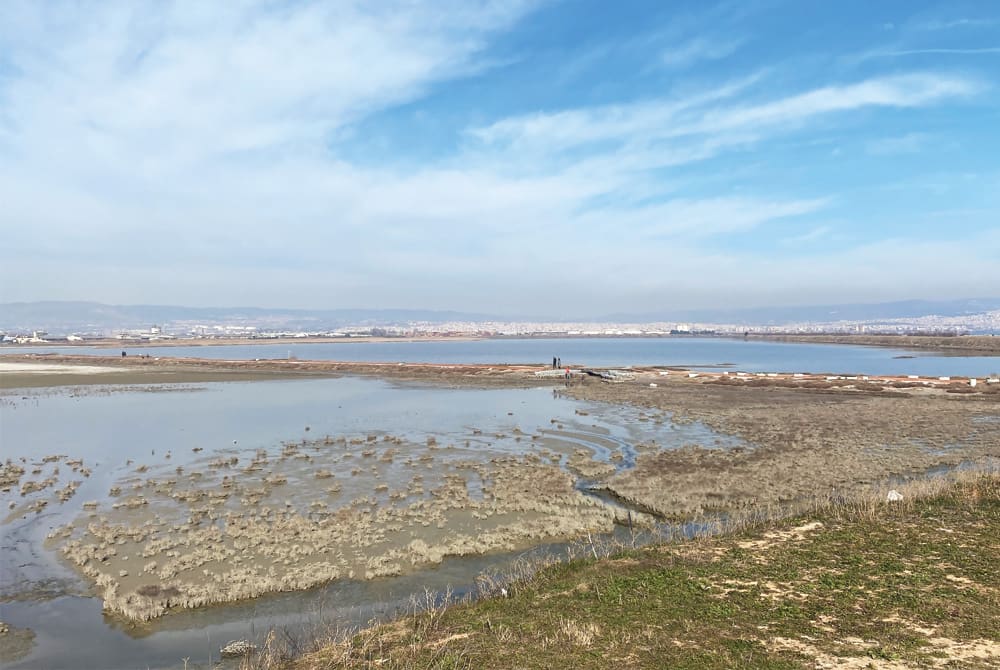 Στα δυτικά, υλοποιώντας μελέτη του Ε.Κ.Β.Υ. ( Ελληνικό Κέντρο Υγροτόπων Βιοτόπων) προβλέπεται η δημιουργία μεγάλου πάρκου στη λιμνοθάλασσα του Καλοχωρίου