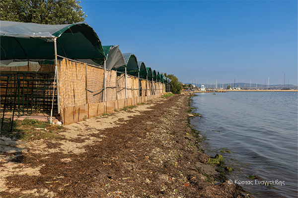 ΦΑΚΕΛΟΣ: ΕΝΙΑΙΟ ΠΑΡΑΛΙΑΚΟ ΜΕΤΩΠΟ ΘΕΣΣΑΛΟΝΙΚΗΣ